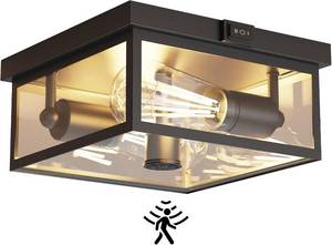 lot 30101 image: Outdoor Ceiling Light with Motion Sensor   Flush Mount Porch 2-Light Fixture