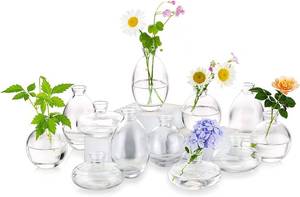 lot 30269 image: Hewory Glass Bud Vases Set of 12, Clear Mini Vases for Floral Arrangements