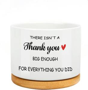 lot 30446 image: Aelciyue Plant Lover Gifts for Teachers - Succulent Plant Pots