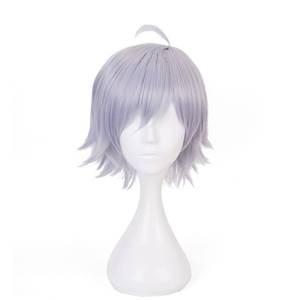 lot 3472 image: Gray Cosplay Wig - Anime Costume, Short Straight Wigs