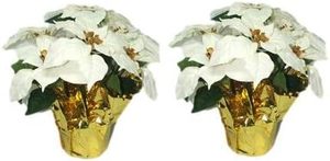 lot 3573 image: $90 Creative Displays White Silk Poinsettia Plant - 17x15 2 Pack