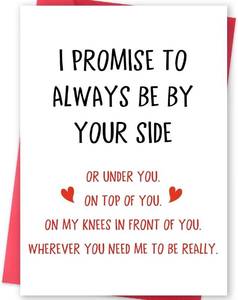 lot 69412 image: 5.3 x 13.5 cm Missonemi Funny Valentines Day Gifts for Him Her