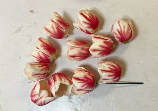 lot 68503 image: Red and White Striped Tulip Flower Heads - Retail $12