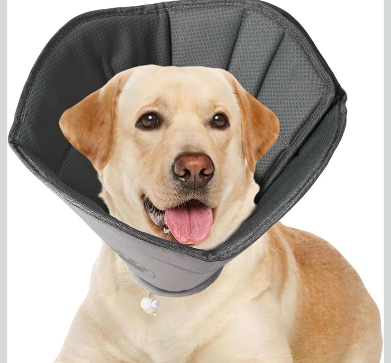 lot 70222 image: Soft Dog Cone for Small Medium Large Pets After Surgery - Retail $28