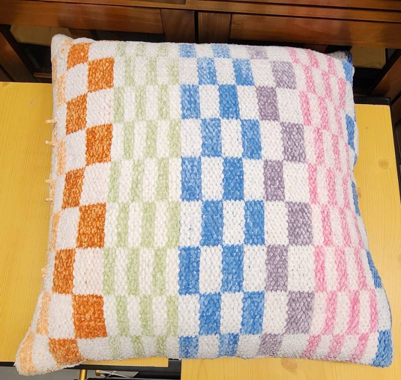 lot 70588 image: Chelsea & Theodore Home Thorw Pillow  - Retail $35