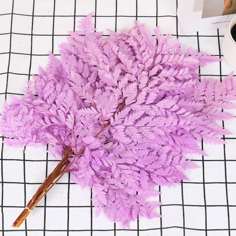 lot 3908 image: 10 Pcs Preserved Purple Fern Stems, 15 for Wedding Centerpiece Decor  Dried Boston Fern, Dried Flowers Arrangements, Real Leaves Bouquets, Home Party Centerpiece, Table Decorations, Vase Filler