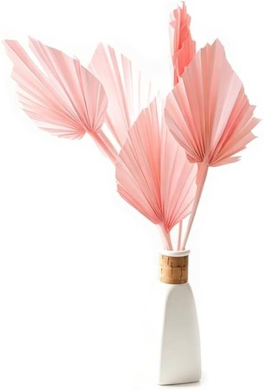 lot 45055 image: 5 PCS Palm Fan Leaf Dried Flower DIY Flower Arrangement Home Decoration for Vase Wedding Party Office Home Wall Decor (Pink)