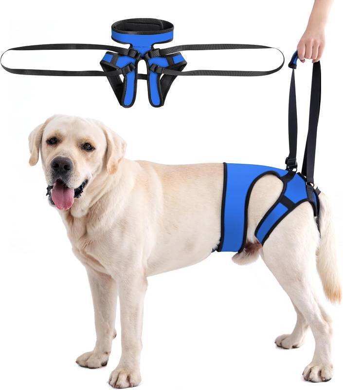 lot 22517 image: LIANZIMAU Dog Sling for Large Dogs Adjustable Hind Leg Support Lift Harness Senior Canine Mobility Aid Carrier for Back Legs Walking Rehabilitation