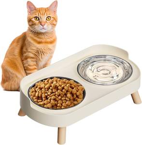 lot 5065 image: Elevated Cat Bowl Set Raised Food & Water Bowls, Splash Proof, 2 Stainless  z