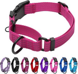 lot 5189 image: Martingale Dog Collar, Reflective No Pull with Buckle, Hot Pink, S