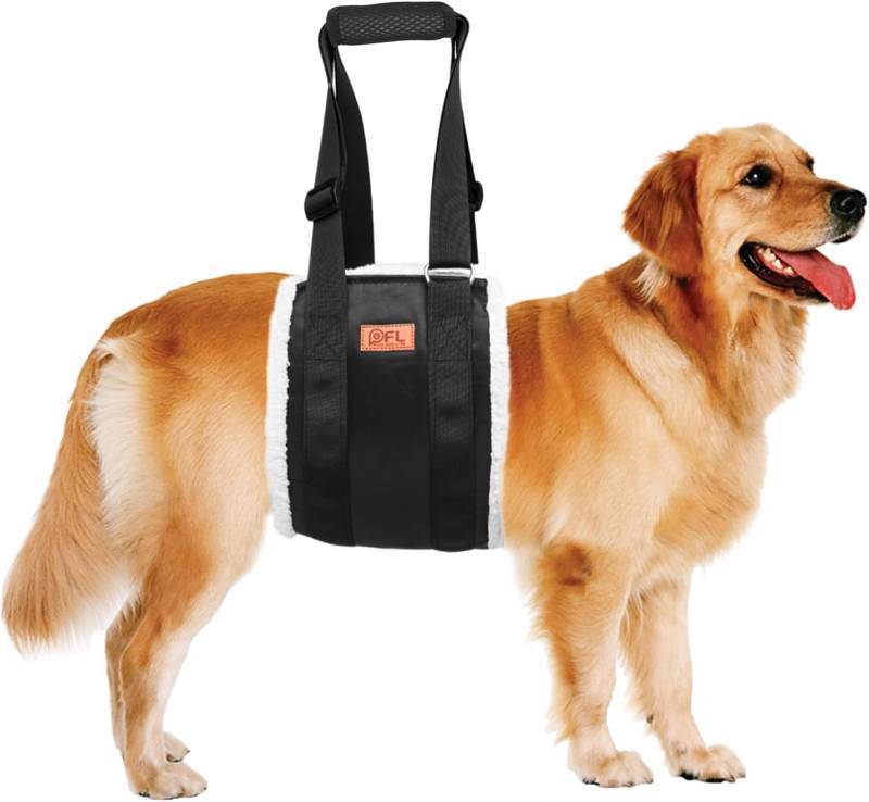 lot 40609 image: Adjustable Dog Sling for Large Dogs Hind Leg Support Weak Legs Mobility Aid  Dog Lift Harness, Helps Seniors, Injured, Disabled and After ACL Surgery Dogs, Daily Walk Stairs, Soft Padded, Easy to Use