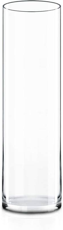 lot 40139 image: CYS Excel (H16 D4) Tall Clear Glass Cylinder Vase  Multiple Size Choices Glass Flower Vase Centerpieces  Tall Hurricane Floating Candle Holder