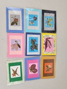 lot 338 image: Pressed Flower Art Cards Lot 9 Pieces Handmade Botanical