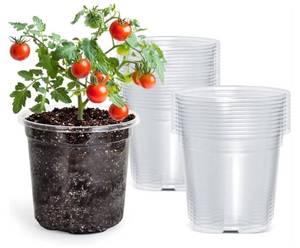 lot 38974 image: Clear Nursery Pots with Drainage Holes, 5 Inch, 25-Pack, Clear PET, 5-Inch Diameter, 4.3-Inch Height, Root and Moisture Visibility, Reusable, - Retail $20