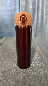 lot 3022 image: Festive Voice Stainless Steel Tumbler 16.95 FL OZ 500 ML