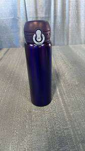 lot 3028 image: Festive Voice Stainless Steel Tumbler 16.95 FL OZ 500 ML