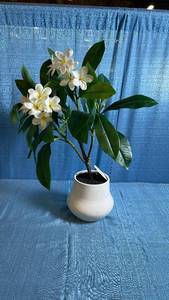 lot 8049 image: Threshold 26 Artificial Potted Frangipani Plant T2482