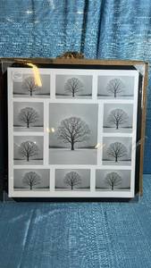 lot 8056 image: Indcom 12-Opening Photo Frame with Tree Design Prints