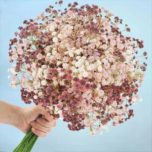 lot 30715 image: N&T NIETING Baby Breath Flowers Artificial Bulk, 15Pcs, Fall Pink Decor