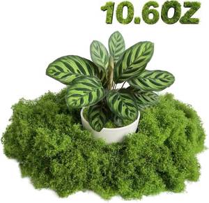 lot 30832 image: Artificial Moss for Plants - Indoor, Crafts, Fairy Garden Decor, 10.6 oz