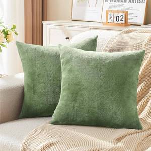 lot 30846 image: BEDELITE Velvet Pillow Covers with Zipper, Sage Green, 18x18 Inches, 2 Pack