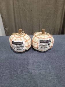 lot 290 image: Pumpkin Patch Decorative Pumpkins Pick Your Own Farm Opens Daily Pair