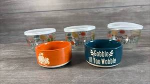 lot 225 image: Thanksgiving Food Storage Bowls with Lids 5-Piece Set