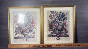lot 372 image: Two Framed Botanical Floral Arrangement Prints&nbsp