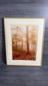 lot 393 image: Framed Forest Photograph Print Matted Gold Tone Frame 11x14