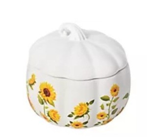 lot 11 image: Temp-tations Single 16-oz Lidded Pumpkin Bowls
