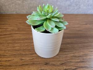 lot 114 image: 4 x 6 Artificial Succulent Plant in Pot