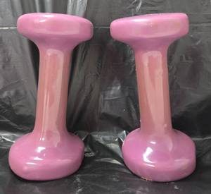 lot 905 image: Set Of 2 Purple 2 to 3 lb each (Guessing on Weght) Dumbbell Hand Weights
