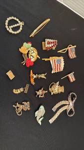 lot 1201 image: Womens jewelry pins and pendant
