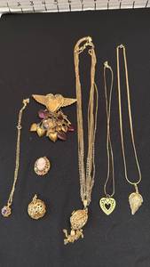 lot 1204 image: Womens jewelry necklaces , pin