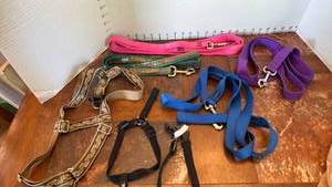 lot 2017 image: Dog leashes and small and medium dog harnesses