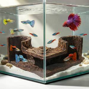 lot 5518 image: Wood-Like Aquarium Cave, Stackable Corner Hideout for Betta Fish