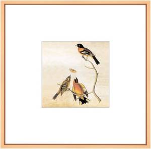 lot 5536 image: BKABOT 8x8 Gold Metal Photo frames 1 Pack HD Glass Mat 5x5 Wall Table