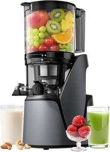 EanOruus Juicer Machines, 3-in-1 Cold Press Juicer, Premium Gray - Retail $199