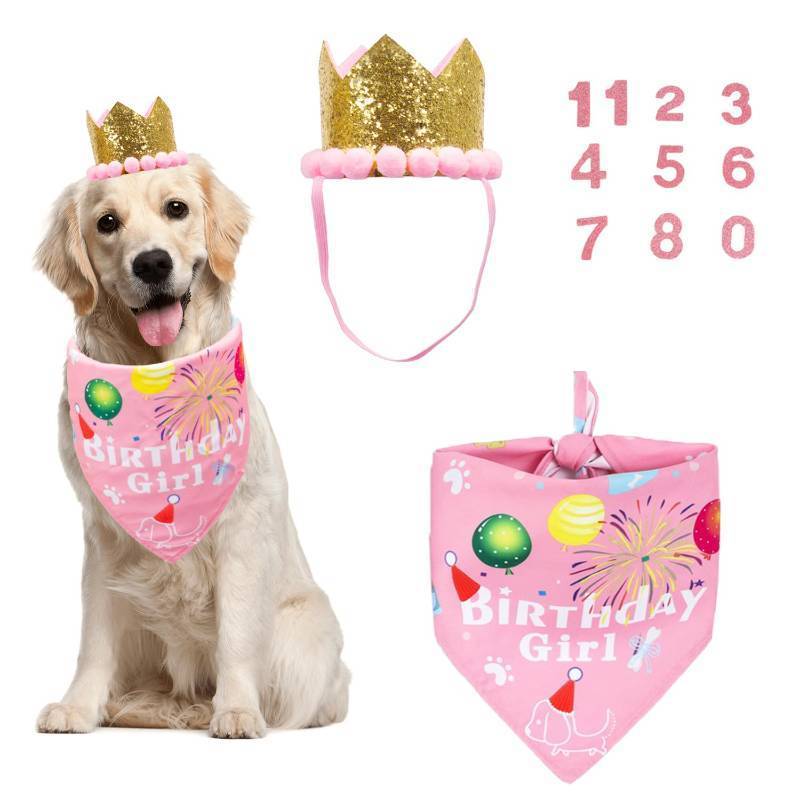 lot 18301 image: Dog Birthday Girl Bandana, Pink Birthday Hat, Age Numbers, Large (missing scarfs) - Retail $13