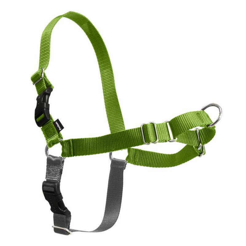 lot 73402 image: PetSafe Easy Walk No-Pull Dog Harness - Ultimate Harness to Help Stop Pulling - Pull-Free Walks - Take Control & Teach Better Leash Manners - Patented Martingale Loop Design - Apple Green,MediumLarge - Retail $23