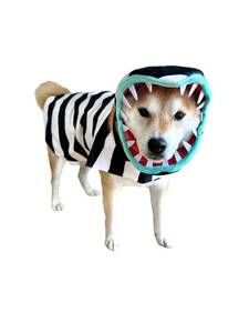 lot 59174 image: Snake Costume for Dogs - Small Medium Large XLarge XXL Cosplay Halloween Costumes Christmas, L, NEED TO BE WASHED. - Retail $30