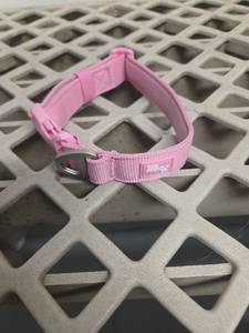 lot 135 image: SM Dog Collar  - Retail $0