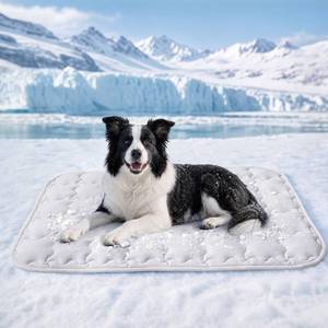 lot 366 image: Luciphia Dog Cooling Mat, Q-MAX0.5 Non-Slip Self-Cooling Pad for Pets - Retail $34