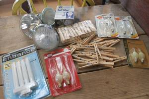 lot 4091 image: NIP Light Bulbs & More
