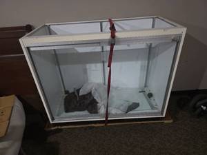 lot 6 image: Display case