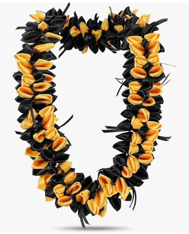 lot 28567 image: Graduation Lei Double Braided Pre-assembled Graduation Money Necklace Strands Hand-woven Grad Accessories Class of 2026 Grad Gifts for High School College Party, 40 Inch - Retail $25