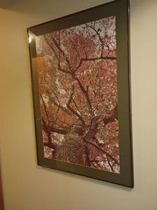 lot 920 image: Framed Wall Decor.  34 x 24.   Located in basement