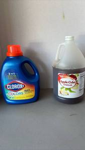 lot 3020 image: Clorox2 For Colors & Great Value Apple Cider Vinegar
