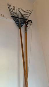 lot 3413 image: Garden Rake and tree trimming saw