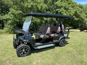 lot 9228 image: Unused SD Lanch SDLC100 Golf Cart